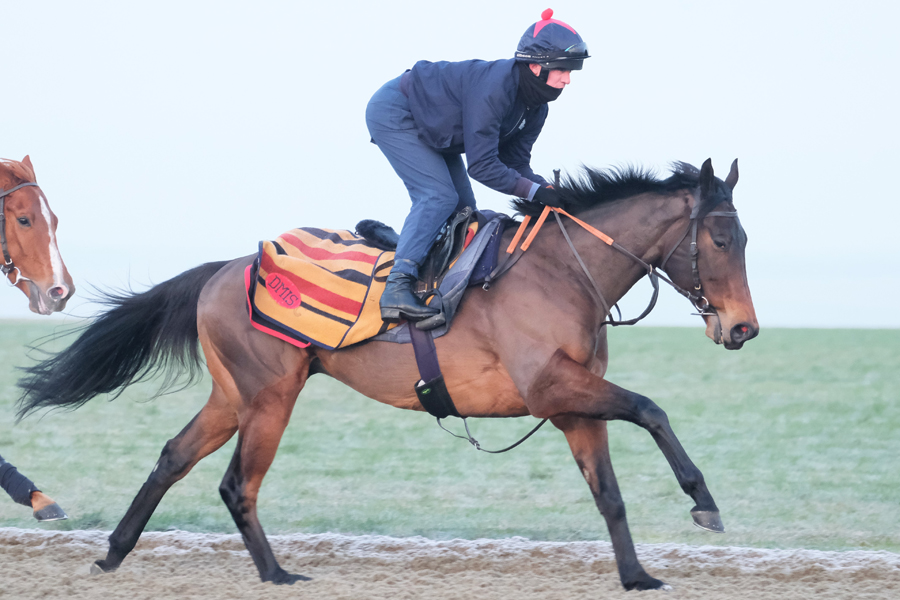 David Simcock has enjoyed top-class success, training in Newmarket